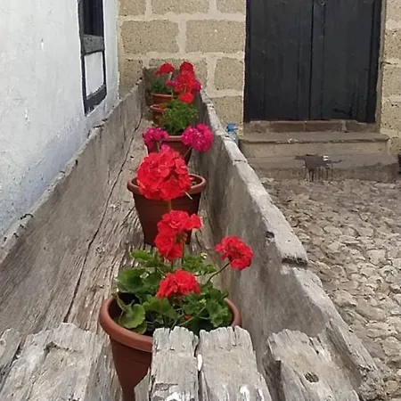 Casa El Drago De Arico Hébergement de vacances