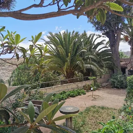 Casa El Drago De Arico Hébergement de vacances Arico el Nuevo