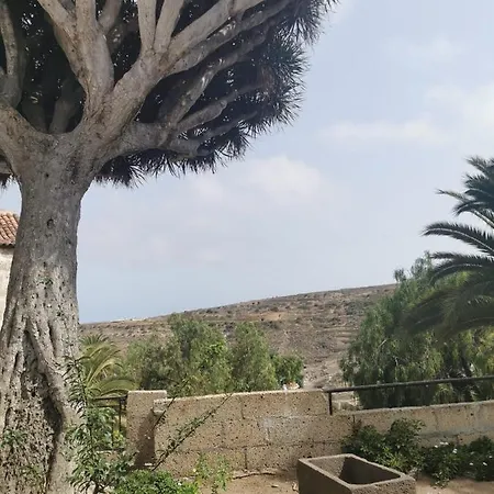 Casa El Drago De Arico Arico el Nuevo