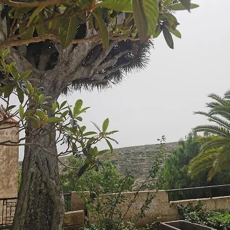 Casa El Drago De Arico בית נופש